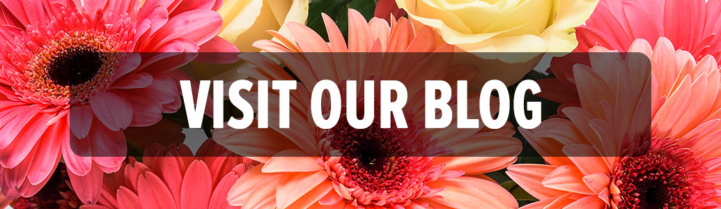 Visit Our Floral Blog