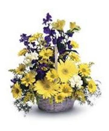 Everlasting Burst of Beauty!