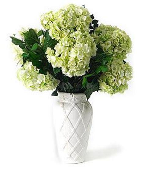 White Cut Hydrangea
