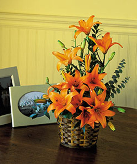 Seasonal Lily Basket