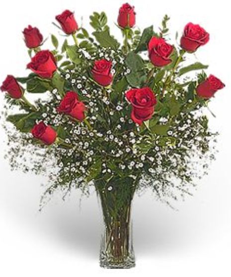 Just Roses