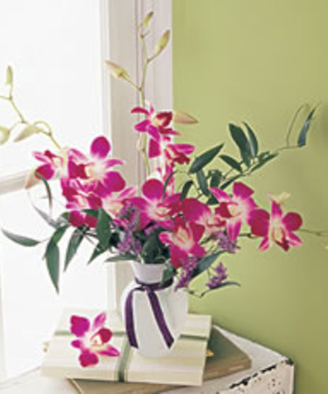 Flowering Incentive