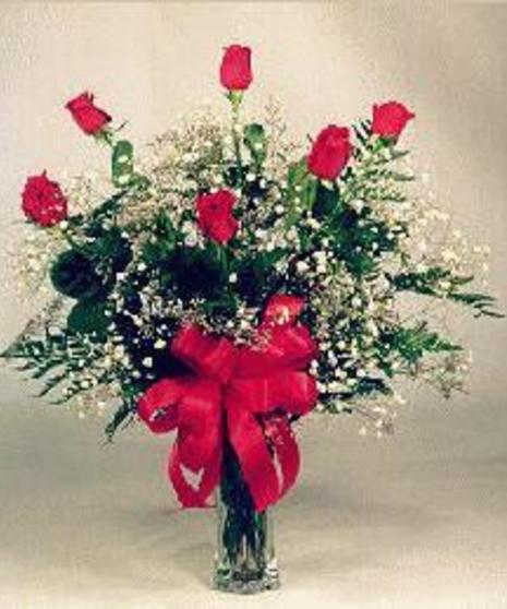 6 Long Stem Red Roses