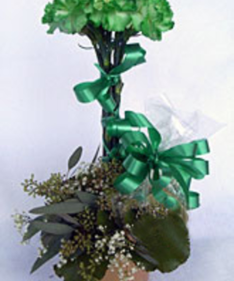 "Lucky Topiary"