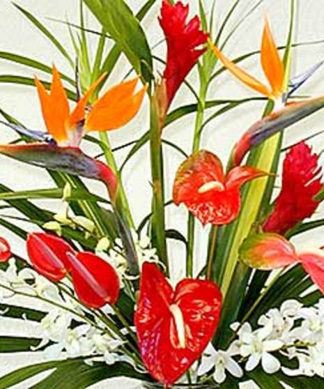 Tropical Bouquet