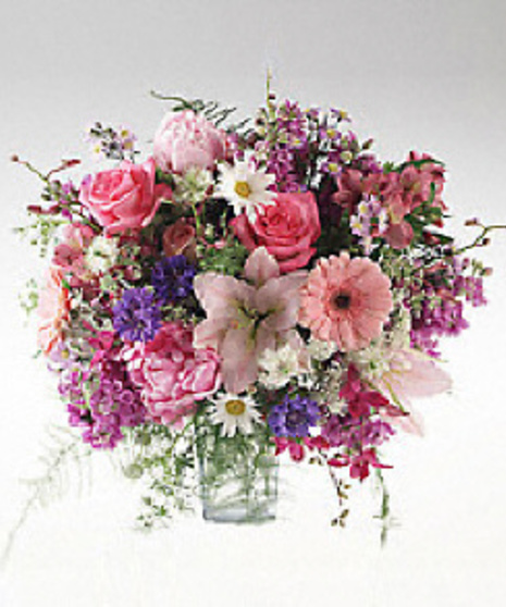 Garden Blooms