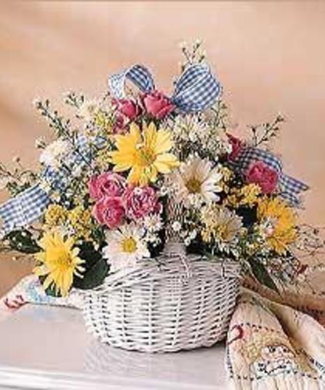 New Baby Basket
