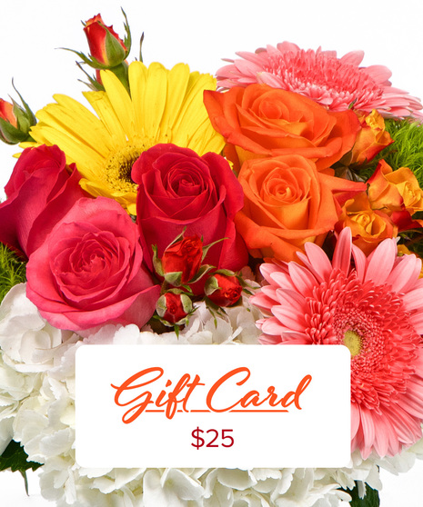 $25 Gift Card