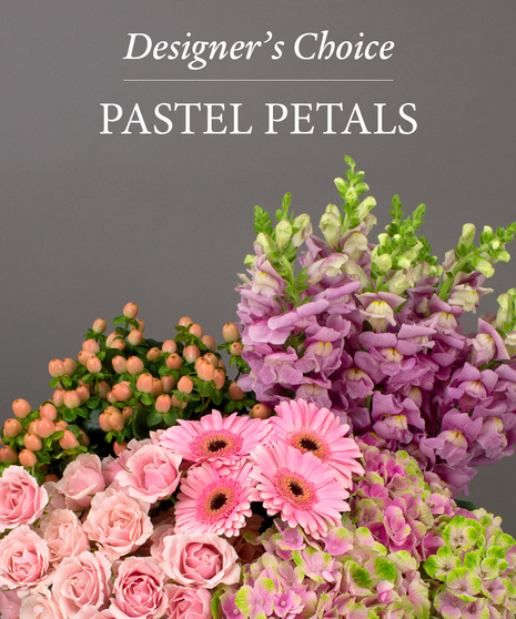 Designer's Choice Pastels