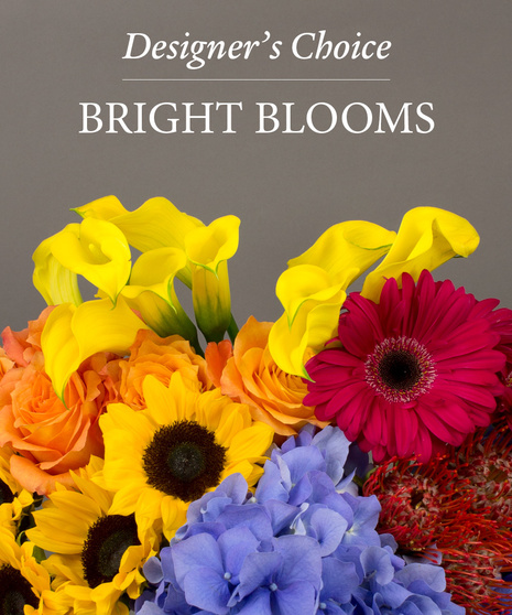 Designer's Choice Bright Blooms