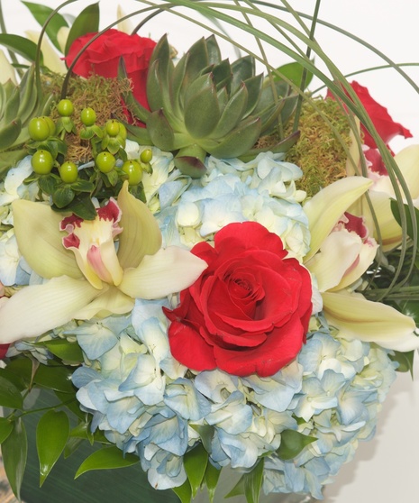 Premium - Six Roses