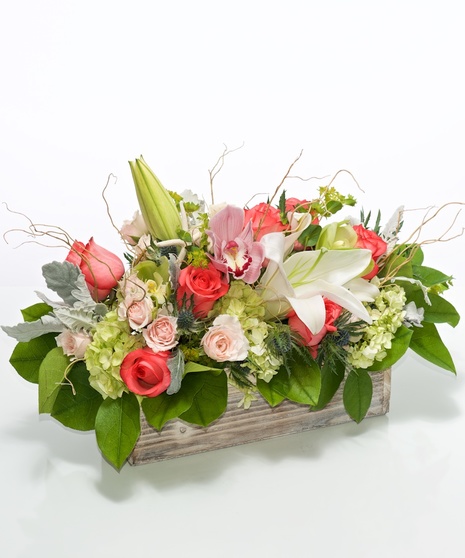 Box of Goodness & Love - A perfect gift!