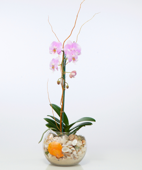 Blooming Wildflower Bouquet