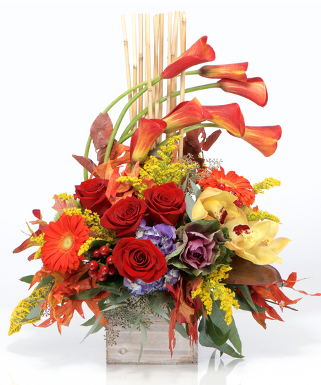 Peaceful Tribute Arrangements