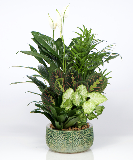Loving Sympathy Basket
