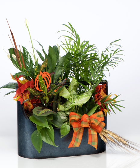 Hope Heals Luxury Bouquet 