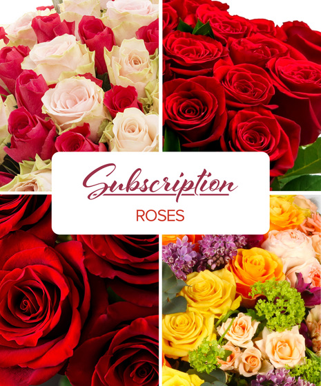 Roses Subscription