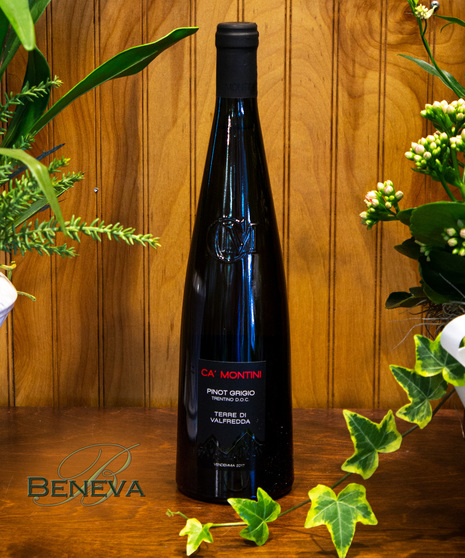 Ca' Montebello Pinot Grigio