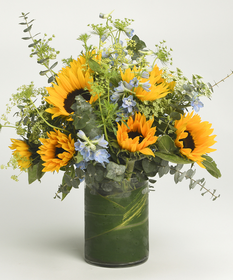 Sunflower Meadow