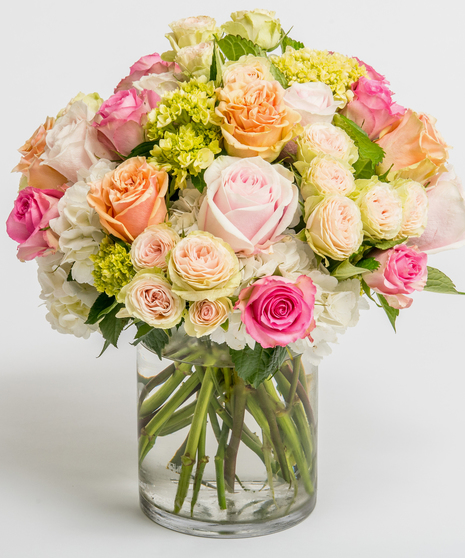 Cherished Roses
