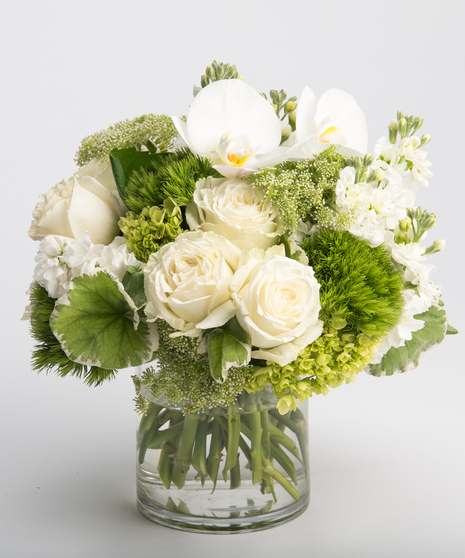 Serene Whites