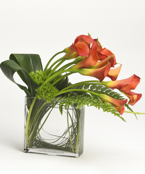 Mango's Calla Wave
