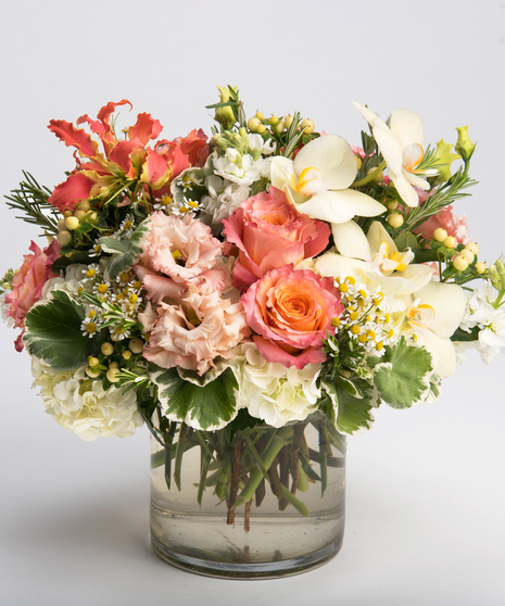 Apricot Blush
