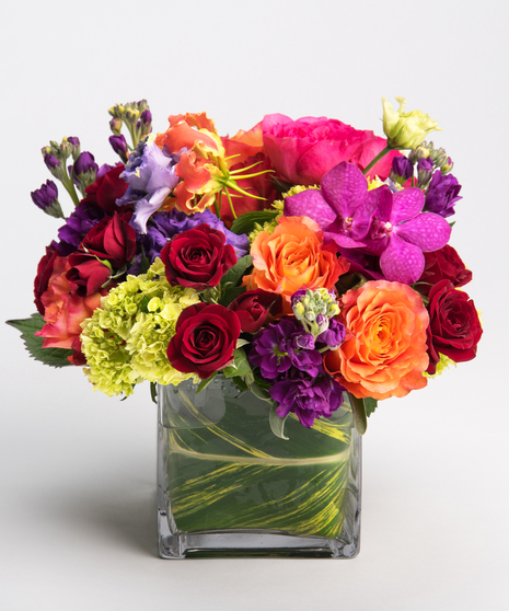 Brilliant Blooms