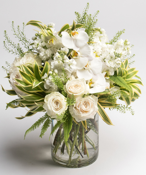 Sand Dune