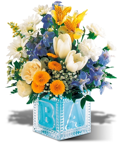 New Baby Flowers & Gifts